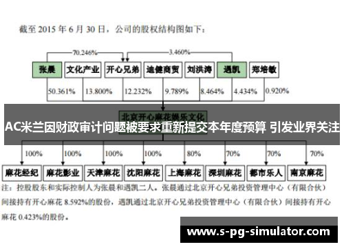 AC米兰因财政审计问题被要求重新提交本年度预算 引发业界关注