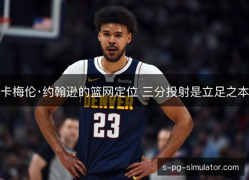 卡梅伦·约翰逊的篮网定位 三分投射是立足之本